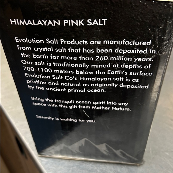 Evolution Salt Lamp‎ - Picture 2 of 3